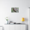 Matte Canvas Wall Art – Green Tree Lizard Photography (Stretched) - El Yunque Rainforest - Puerto Rico - Deep forest explorations