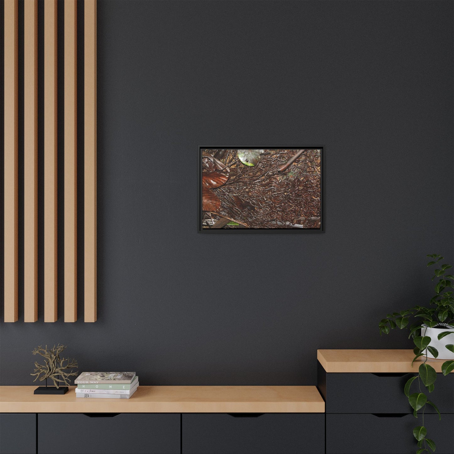 Framed Matte Canvas Wall Art — Tropical Rainforest Decomposing Sierra Palm Seeds Branch - Photography - Tradewinds