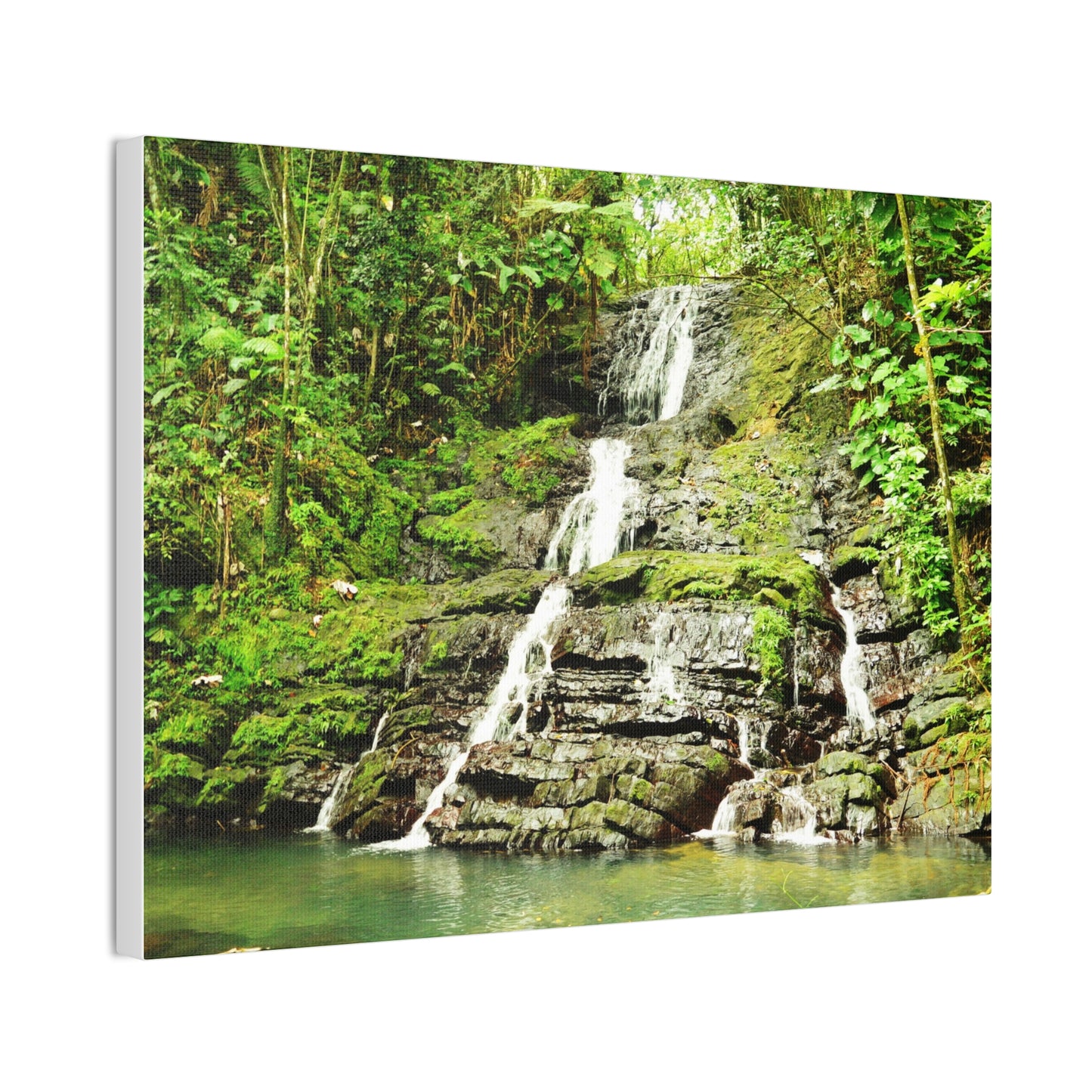 Tropical Waterfall Canvas Wall Art — Lush Jungle Landscape Print