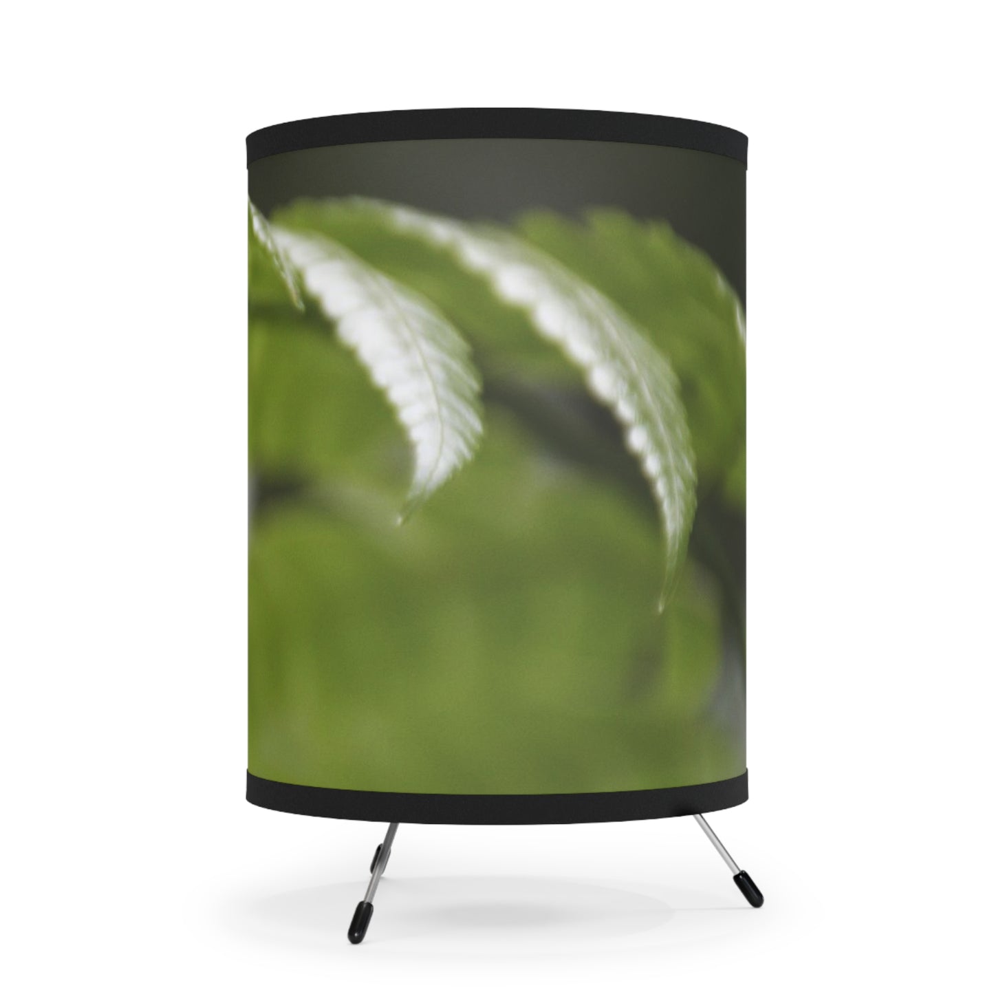 The ancient Fern plant leaf - El Yunque rainforest PR — High-Res Printed Shade (US/CA Plug) - Nikon
