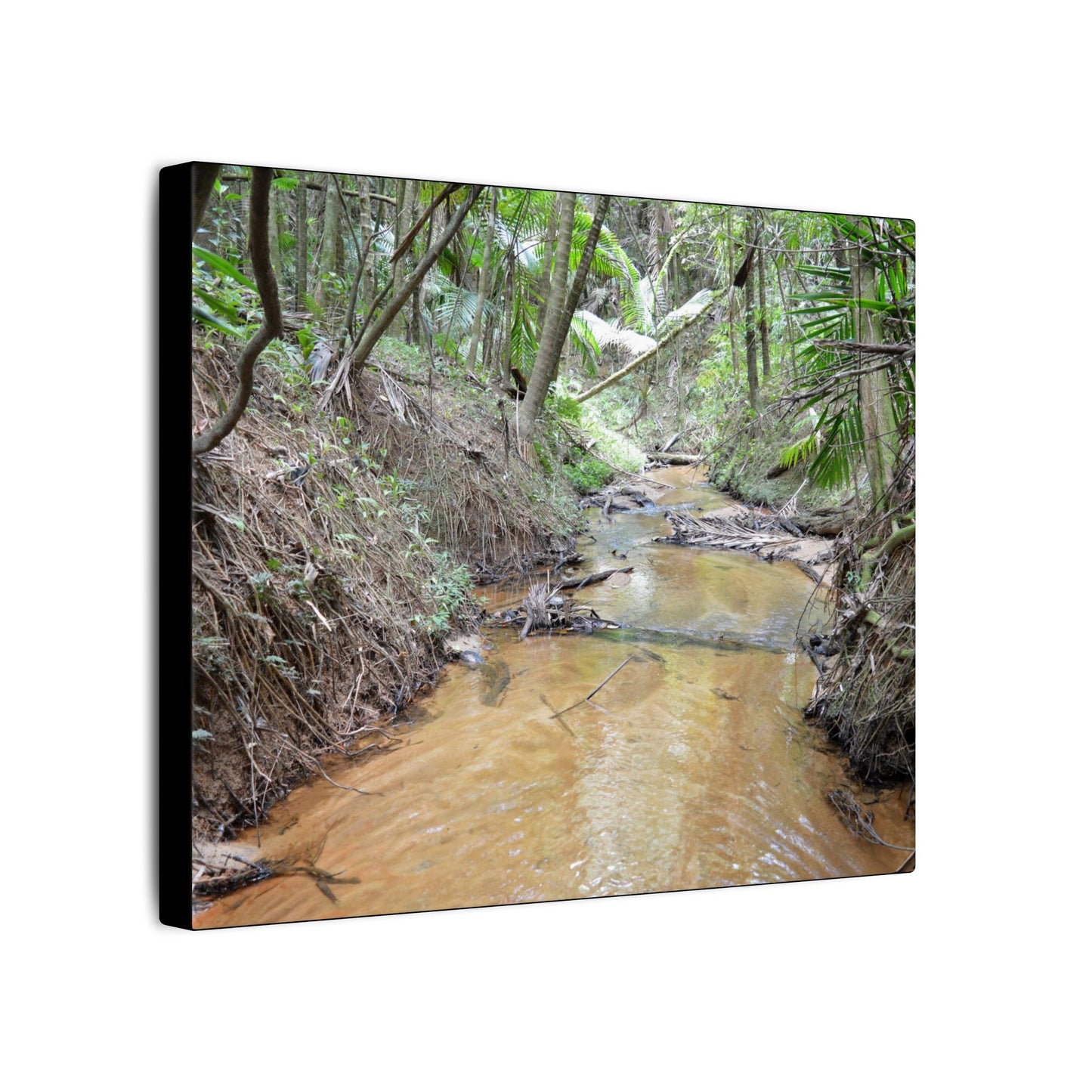Matte Canvas Print — Tropical Forest Creek Wall Art (Stretched) - El Yunque Rainforest - Puerto Rico - Deep forest explorations
