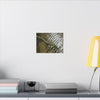 Rippling Stream Canvas Wall Art — Tranquil Forest Water Photography - Fallen sierra palm - Rio Sabana - El Yunque Rainforest - Puerto Rico - Deep forest explorations
