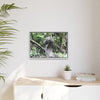 Tropical Vista Matte Canvas Framed Wall Art - Forest explorations - Deep in Sabana River Unusual Tree formations ??? -  El Yunque rainforest PR