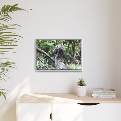 Tropical Vista Matte Canvas Framed Wall Art - Forest explorations - Deep in Sabana River Unusual Tree formations ??? -  El Yunque rainforest PR