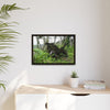 Framed Matte Canvas Wall Art — Tropical Rainforest Roots Photography - Not a nice image - but its an uprooted tree from 2017 Hurricane Maria > 200 MPH winds- that can survive hurricanes