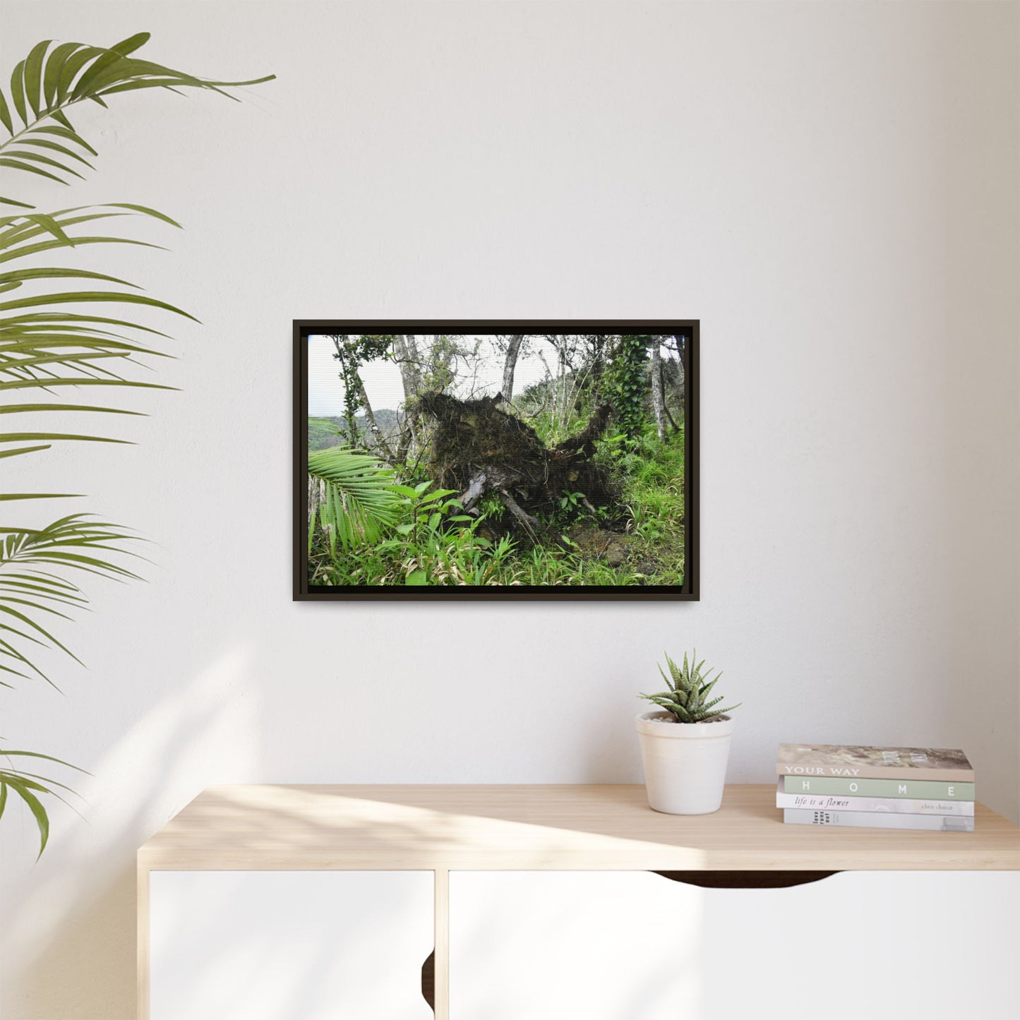Framed Matte Canvas Wall Art — Tropical Rainforest Roots Photography - Not a nice image - but its an uprooted tree from 2017 Hurricane Maria > 200 MPH winds- that can survive hurricanes