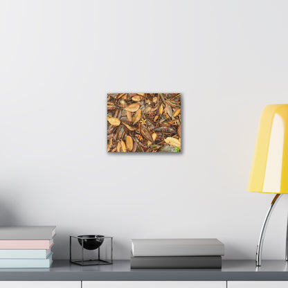 Autumn Leaf Floor Canvas Print — Deep Forest Explorations - El Yunque - Nikon D850 Stretched Wall Art (0.75")