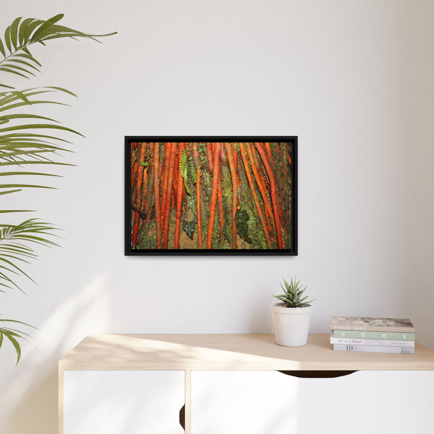 Framed Matte Canvas Wall Art — Tropical Rainforest Roots Photography -Orange roots of the Sierra Palm tree - Nikon