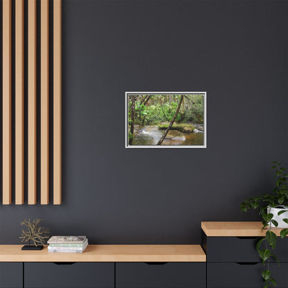 Framed Matte Canvas Wall Art — Tropical Rainforest Roots Photography - View deep in the forest in the Rio Sabana Trail