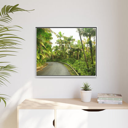 Tropical Vista Matte Canvas Framed Wall Art — Lush Mountain road the PR 191 High forest - El Yunque rainforest PR