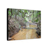 Matte Canvas Print — Tropical Forest Creek Wall Art (Stretched) - El Yunque Rainforest - Puerto Rico - Deep forest explorations