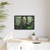 Framed Matte Canvas Wall Art — Tropical Rainforest Roots Photography - The dance of trees - a tree jumble where they hold each other - Nikon