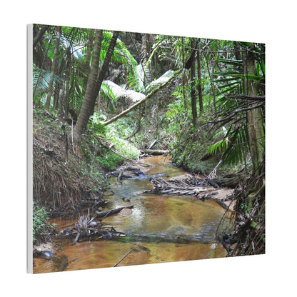 Deep Forest Explorations - El Yunque Holy Spirit River - Nikon D850 - Tropical Creek Canvas Print —  Jungle Stream Wall Art for Nature Lovers