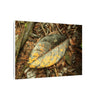 Tradewinds Trail - Fallen Colorful Leaf - Matte Canvas Print — Stretched Wall Art - El Yunque Rainforest - Puerto Rico - Deep forest explorations