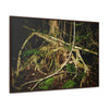 Rainforest Trails & Views - Gallery Canvas Wraps, Horizontal Frame - El Yunque National Forest - Puerto Rico - Tradewinds trail weird trees - Green Forest Home