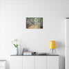 Matte Canvas Print — Tropical Forest Creek Wall Art (Stretched) - El Yunque Rainforest - Puerto Rico - Deep forest explorations