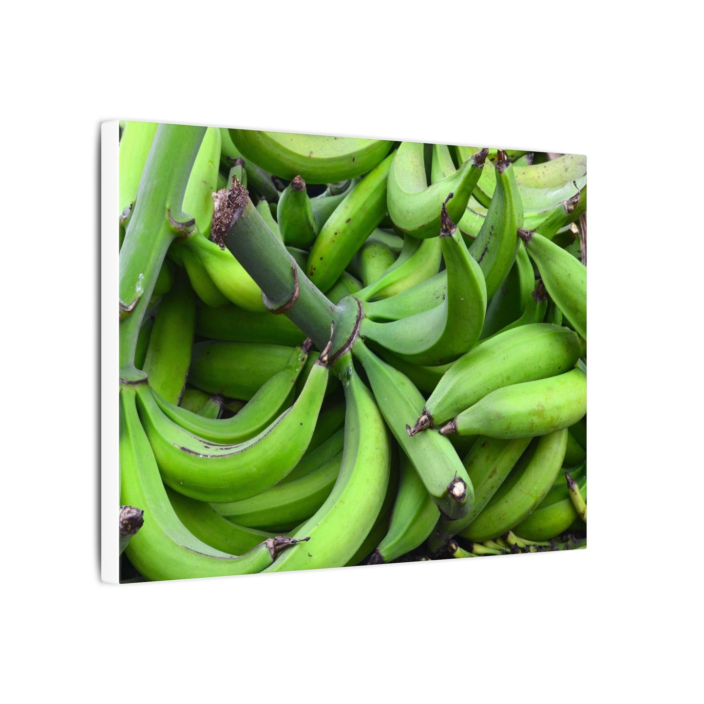 Green Banana Bunch Matte Canvas Wall Art — Tropical Kitchen Decor - Platanos in Puerto Rico - ready for cooking - for tostones etc.