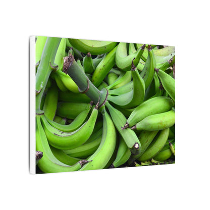 Green Banana Bunch Matte Canvas Wall Art — Tropical Kitchen Decor - Platanos in Puerto Rico - ready for cooking - for tostones etc.