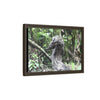 Tropical Vista Matte Canvas Framed Wall Art - Forest explorations - Deep in Sabana River Unusual Tree formations ??? -  El Yunque rainforest PR