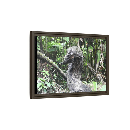 Tropical Vista Matte Canvas Framed Wall Art - Forest explorations - Deep in Sabana River Unusual Tree formations ??? -  El Yunque rainforest PR
