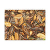 Leaf Floor Canvas Print — Matte Stretched Wall Art - Tradewinds trail - below canopy of local peak - leaf variety & geometry & stars ...