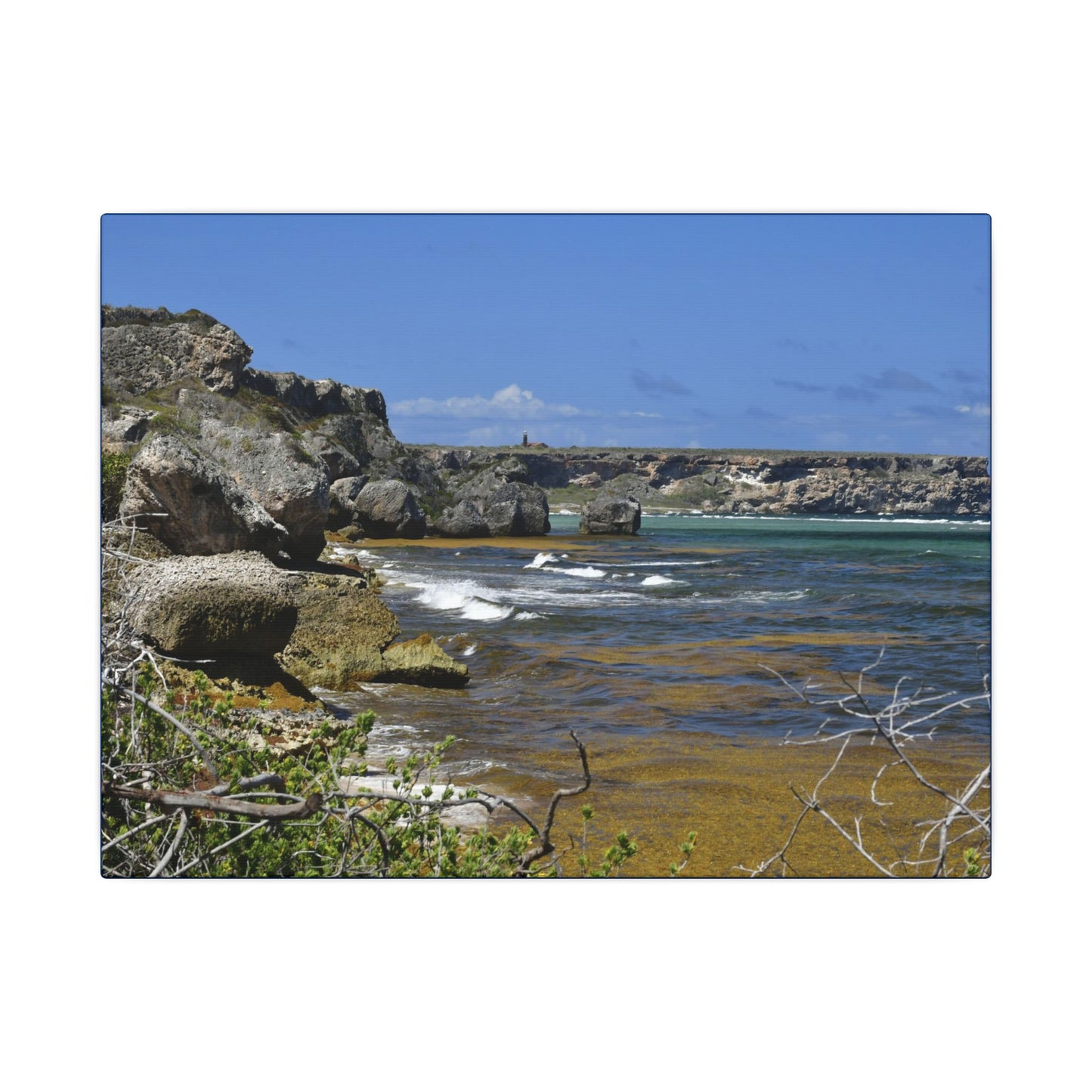 Coastal Cliff Seascape Canvas Print - Mona Island - 40 miles from Puerto Rico - Pristine & isolated