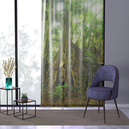 Tropical Jungle - Huge Tree grows in top of Boulder - Window Curtain - Lush Rainforest Print Sheer Drapery - View in El Yunque rainforest - Puerto  Rico - Nikon