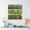 The Dense Cloud Forest -  El Yunque RainForest - Nikon D850 - Tropical Rivers Triptych Acrylic Print – Panoramic Jungle Wall Aert