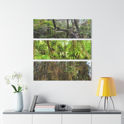 The Dense Cloud Forest -  El Yunque RainForest - Nikon D850 - Tropical Rivers Triptych Acrylic Print – Panoramic Jungle Wall Aert