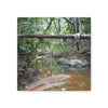Deep Forest Explorations - El Yunque Holy Spirit River - Nikon D850 - Rainforest Creek Canvas Print — Tropical Jungle Stream Wall Art