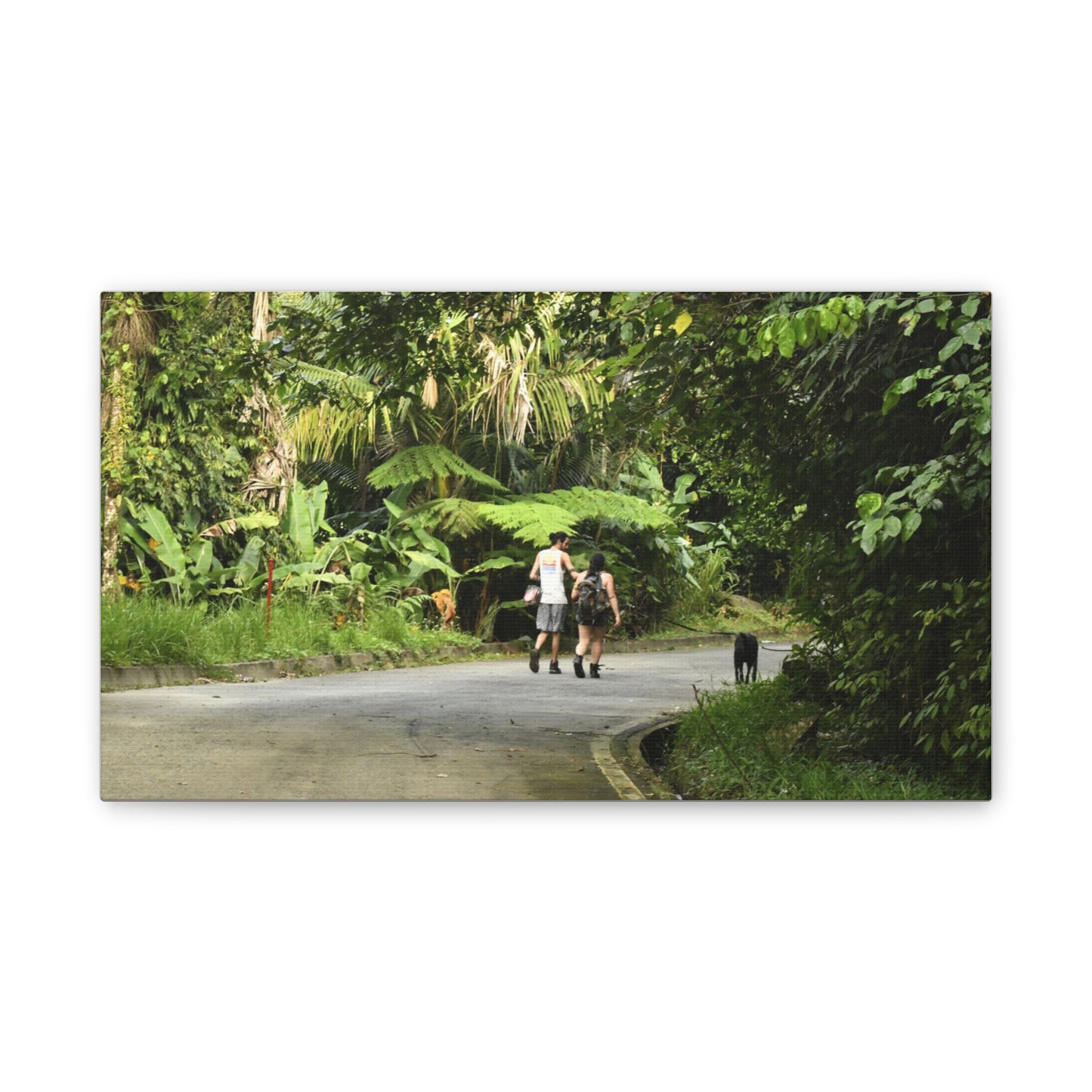 Tropical Road Walk Canvas — Couple with cat and dog in El Yunque - Scenic Nature Wall Art