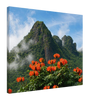 138c0af9-2358-4965-ad3b-47b956e13040