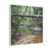 Deep Forest Explorations - El Yunque Holy Spirit River - Nikon D850 - Rainforest Creek Canvas Print — Tropical Jungle Stream Wall Art
