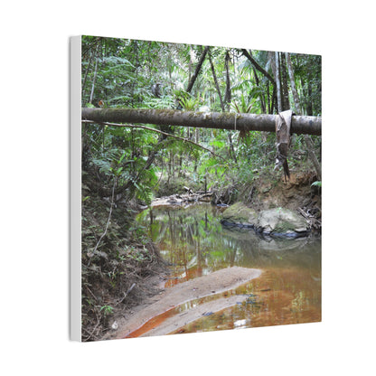 Deep Forest Explorations - El Yunque Holy Spirit River - Nikon D850 - Rainforest Creek Canvas Print — Tropical Jungle Stream Wall Art