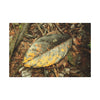 Tradewinds Trail - Fallen Colorful Leaf - Matte Canvas Print — Stretched Wall Art - El Yunque Rainforest - Puerto Rico - Deep forest explorations