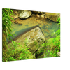 13d00ae9-2f8d-49ac-b0ff-395a61f27719