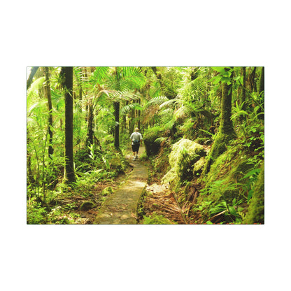 Forest Trail Matte Canvas Print – Lush Green Nature Wall Art - Hiker enjoys the BEAUTY - Mt Britton Trail - El Yunque Rainforest - Puerto Rico