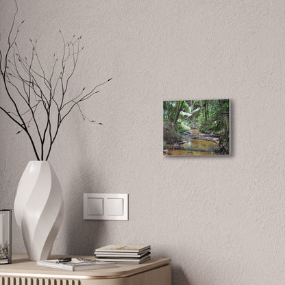 Deep Forest Explorations - El Yunque Holy Spirit River - Nikon D850 - Tropical Creek Canvas Print —  Jungle Stream Wall Art for Nature Lovers