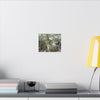 Forest Stream Adventure Matte Canvas Print — Boy Exploring Tree Roots Wall Art - Jose looks at the river - Tree has roots all over - Note the little sunlight