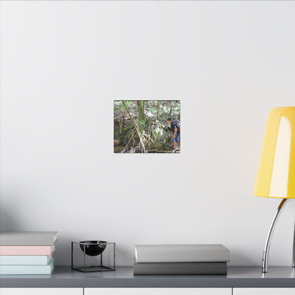 Forest Stream Adventure Matte Canvas Print — Boy Exploring Tree Roots Wall Art - Jose looks at the river - Tree has roots all over - Note the little sunlight