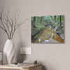 Deep Forest Explorations - El Yunque Holy Spirit River - Nikon D850 - Forest Creek Canvas Print - Stretched 0.75" Nature Wall Art
