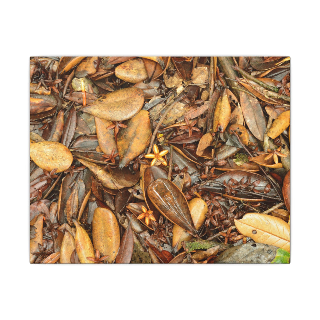 Leaf Floor Canvas Print — Matte Stretched Wall Art - Tradewinds trail - below canopy of local peak - leaf variety & geometry & stars ...