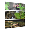 El Yunque Rainforest - The Joy and Beauty of El Yunque Streams  - Jose and Gloria - Nikon D850 - Triptych Acrylic Print – Forest Creek Landscape Wall Art