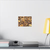 Leaf Floor Canvas Print — Matte Stretched Wall Art - Tradewinds trail - below canopy of local peak - leaf variety & geometry & stars ...