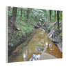 Deep Forest Explorations - El Yunque Holy Spirit River - Nikon D850 - Forest Creek Canvas Print - Stretched 0.75" Nature Wall Art