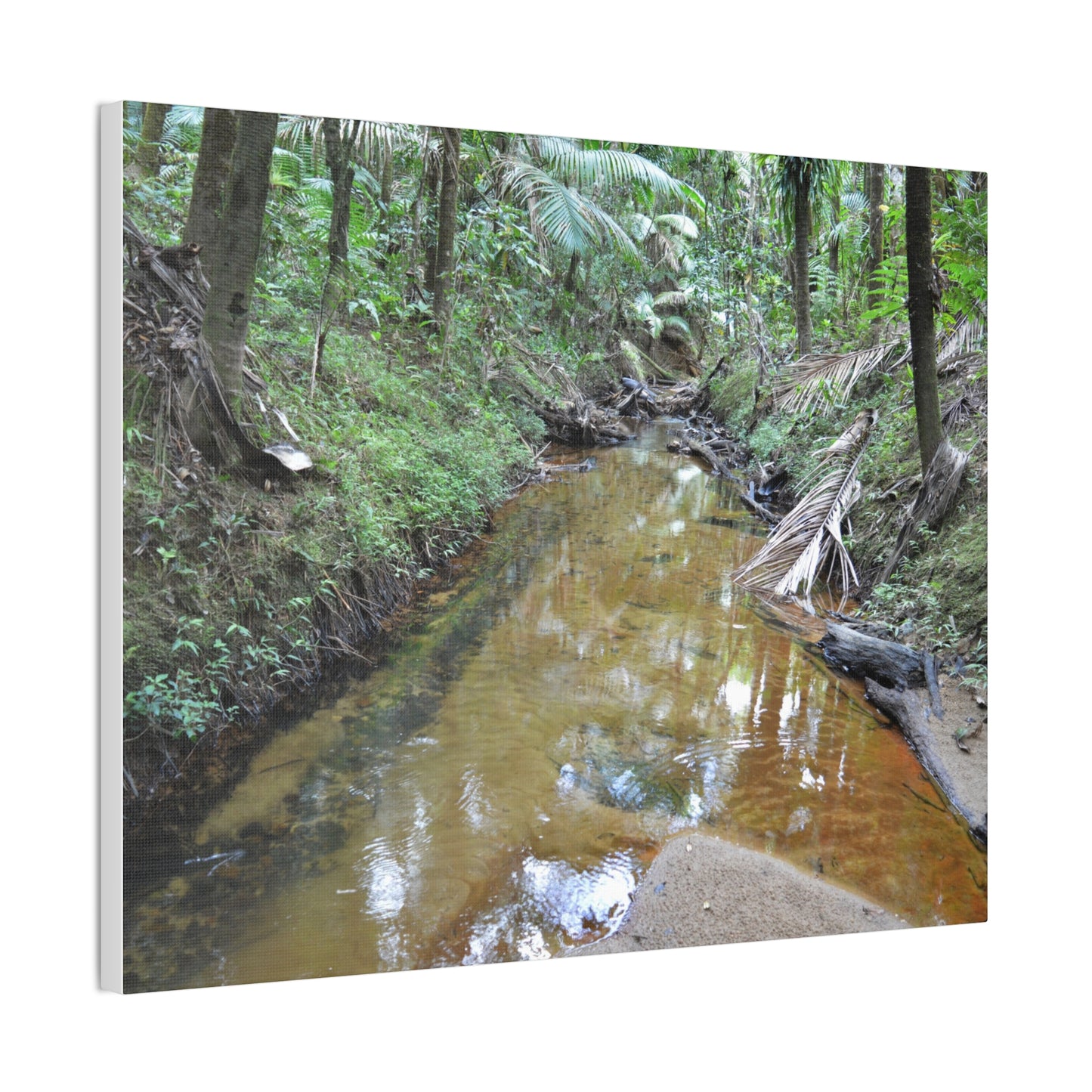 Deep Forest Explorations - El Yunque Holy Spirit River - Nikon D850 - Forest Creek Canvas Print - Stretched 0.75" Nature Wall Art