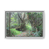 Tropical Vista Matte Canvas Framed Wall Art — Magic section of the remote Tradewinds Trail -  El Yunque rainforest PR