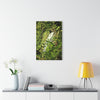 Tropical Waterfall Acrylic Print — The famous La Coca Falls -  El Yunque RainForest  - Glossy French-Cleat Wall Art
