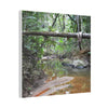 Deep Forest Explorations - El Yunque Holy Spirit River - Nikon D850 - Rainforest Creek Canvas Print — Tropical Jungle Stream Wall Art