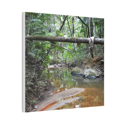 Deep Forest Explorations - El Yunque Holy Spirit River - Nikon D850 - Rainforest Creek Canvas Print — Tropical Jungle Stream Wall Art